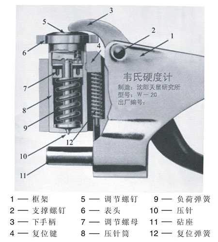 韦氏结果图.jpg